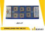 SNMG120408-PM YBC251